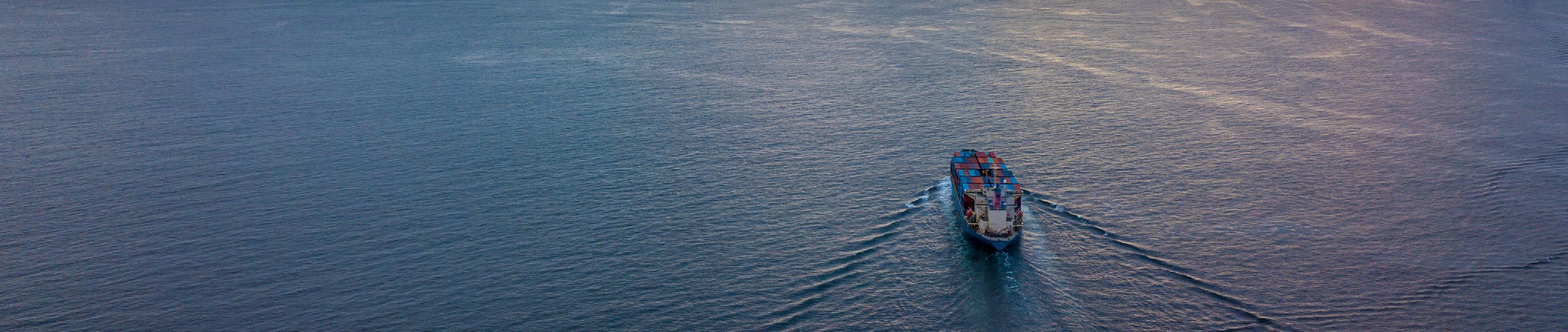 A container ship at sea, used as a scene for the energy transition in shipping